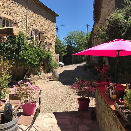 לינה וארוחת בוקר Saint-Jean-dʼAlcapiès Domaine D'Alcapies מראה חיצוני תמונה