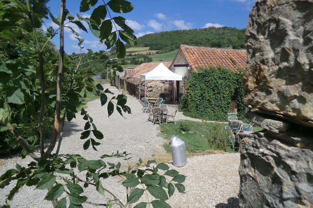 לינה וארוחת בוקר Saint-Jean-dʼAlcapiès Domaine D'Alcapies מראה חיצוני תמונה