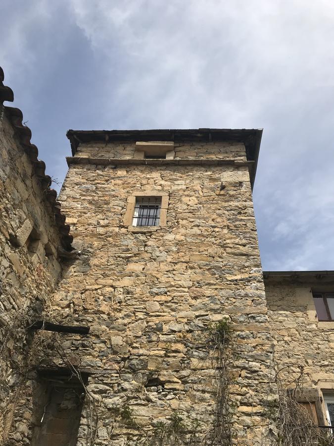 לינה וארוחת בוקר Saint-Jean-dʼAlcapiès Domaine D'Alcapies מראה חיצוני תמונה